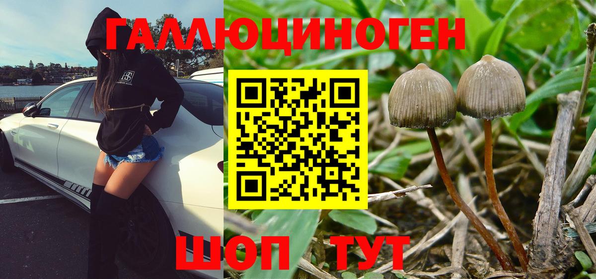 Галлюциногенные грибы мицелий Новоуральск